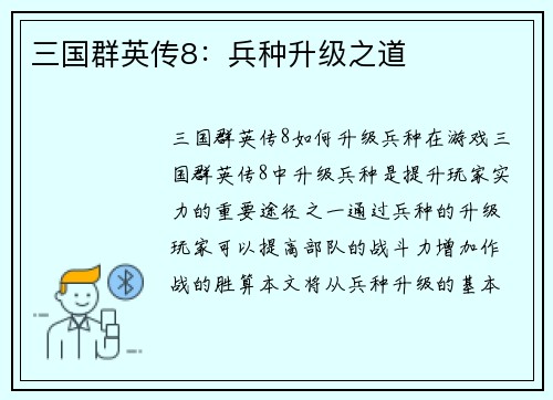 三国群英传8：兵种升级之道